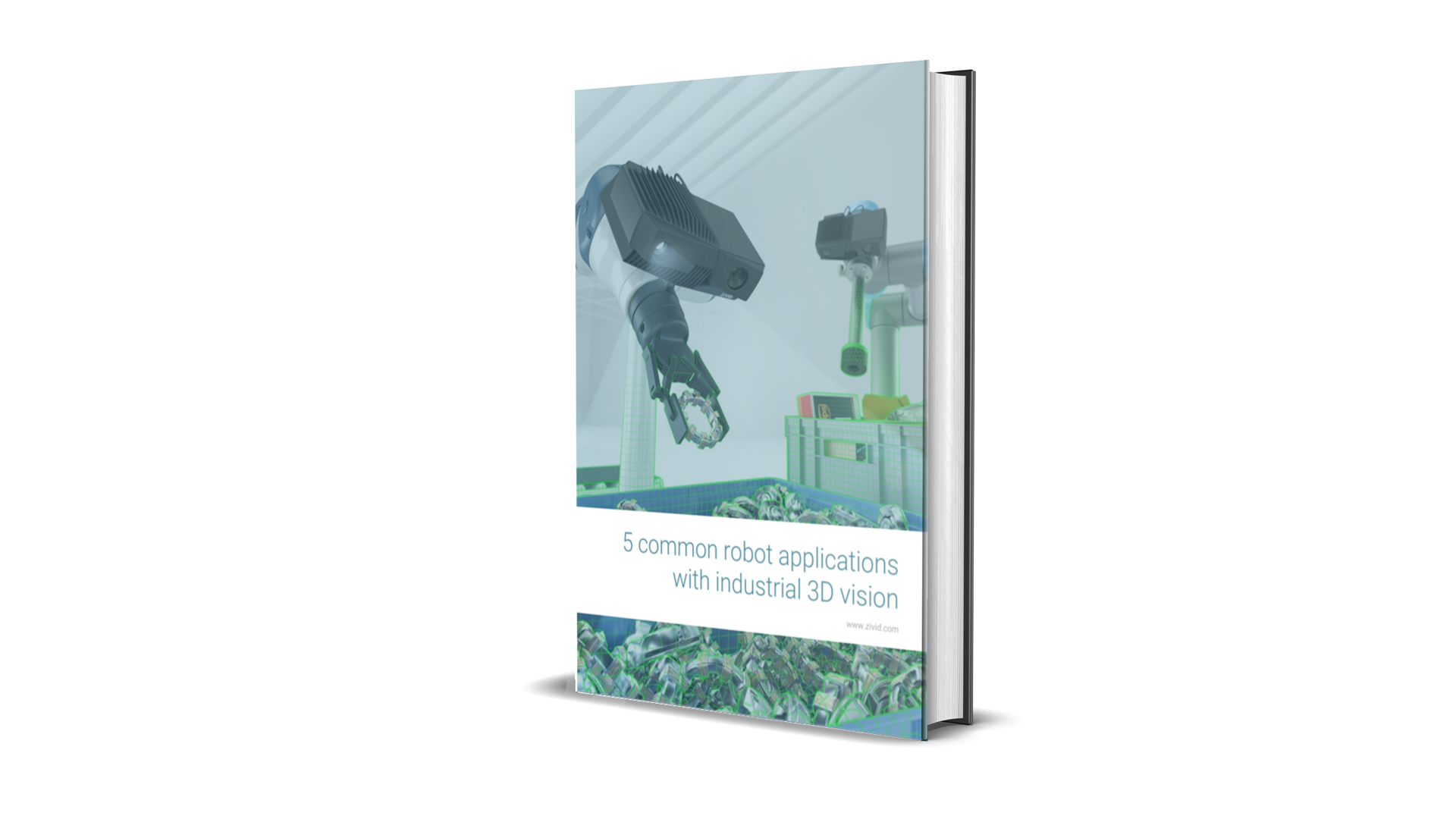 3d common applications ebook 