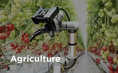 Agriculture with Zivid 3D vision_11zon