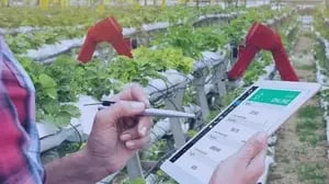Plant inspection system